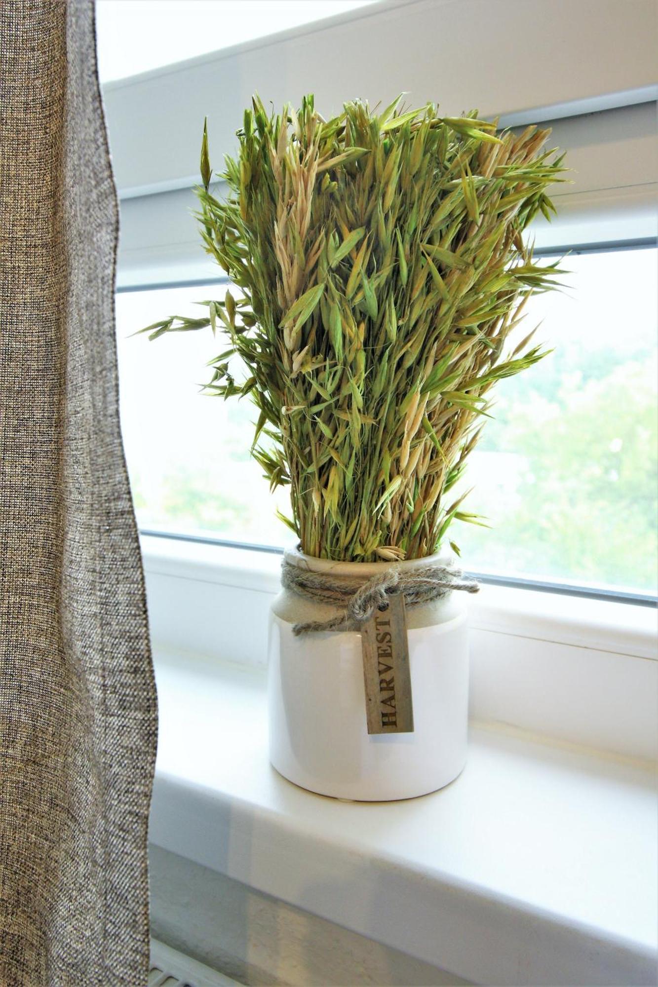 Work And Centrum Apartment